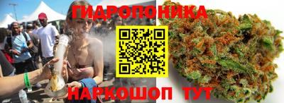 индика Волжский