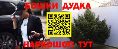 индика Волжский