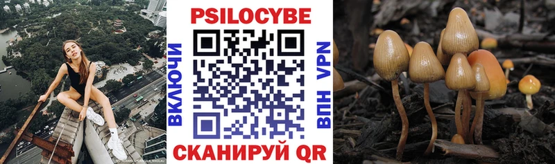 hydra   Екатеринбург  Псилоцибиновые грибы MAGIC MUSHROOMS 