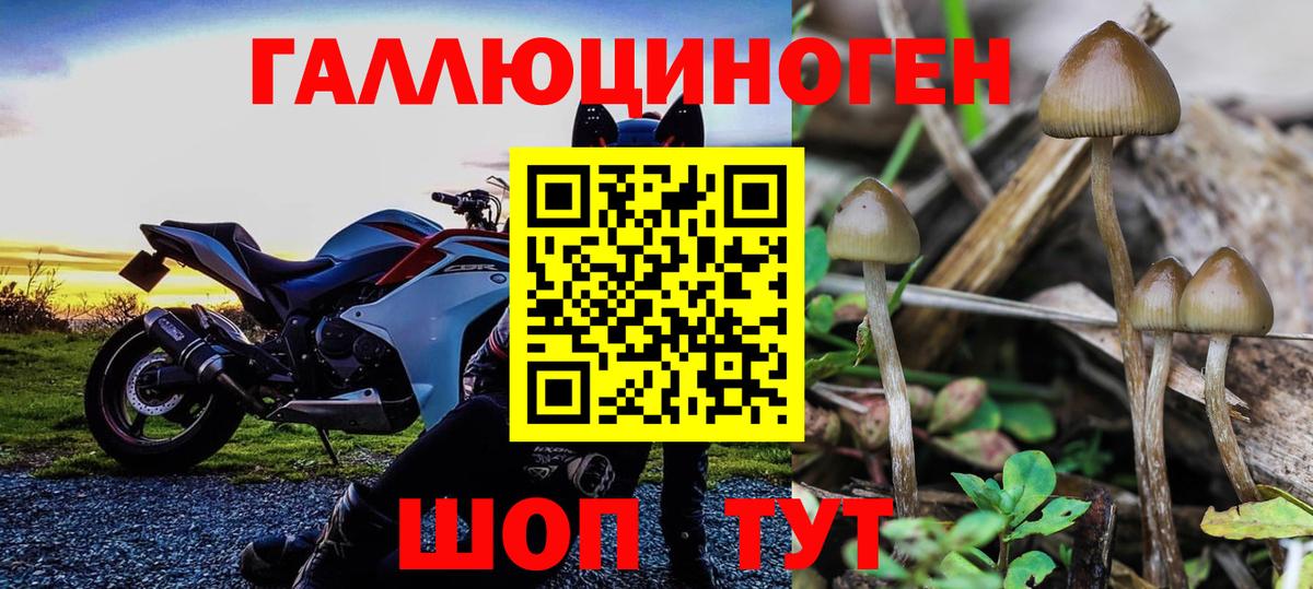 Псилоцибиновые грибы MAGIC MUSHROOMS Екатеринбург