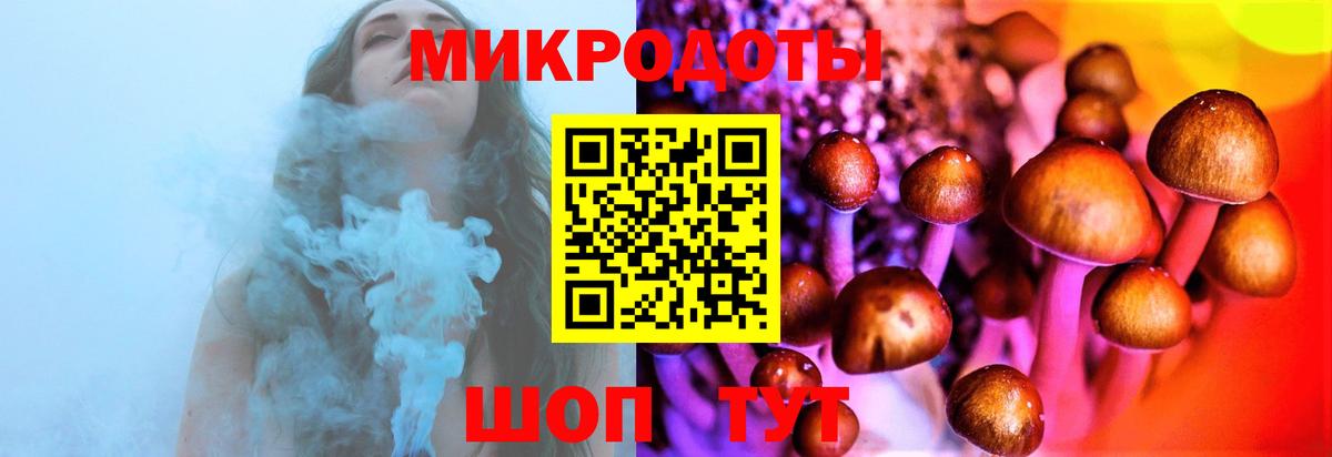купить   Вход с VPN  Екатеринбург  Галлюциногенные грибы прущие грибы  Галлюциногенные грибы Psilocybe 